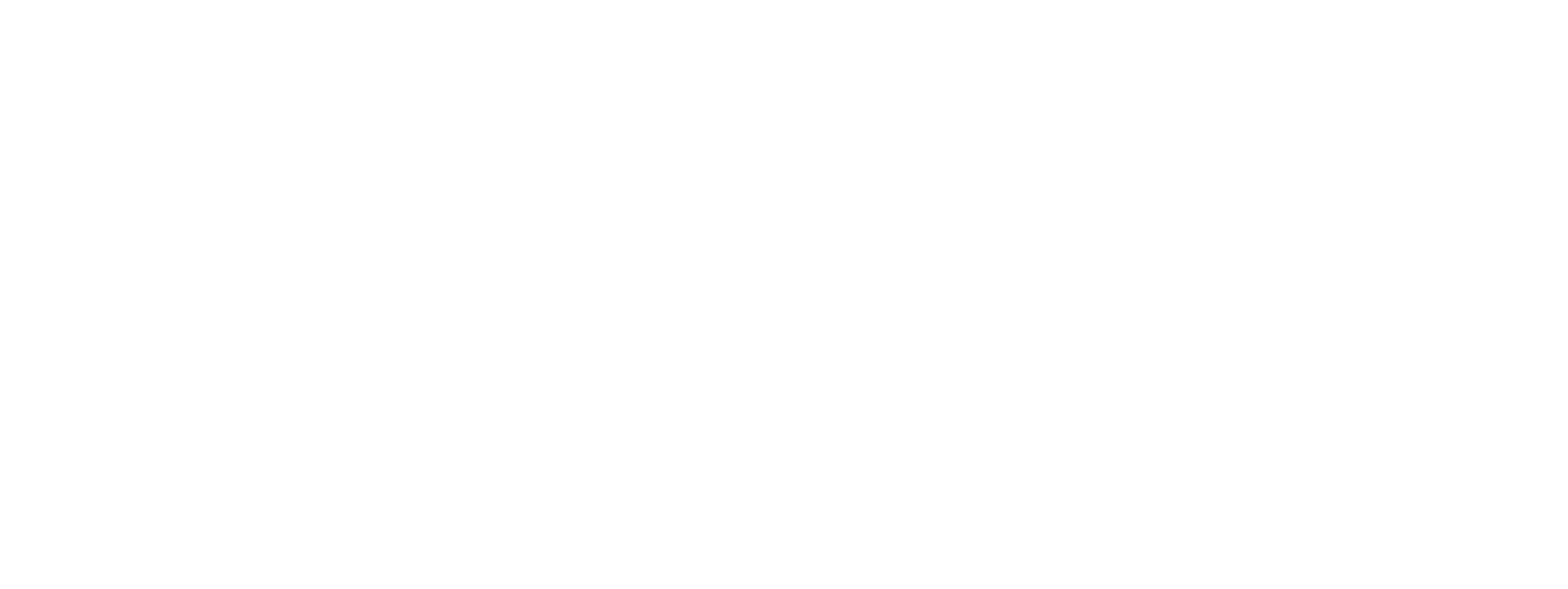 Vet Silva Clínica Veterinária