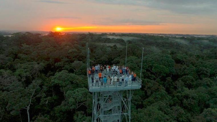 MUSA – Museu da Amazônia: um passeio na floresta para fazer com crianças