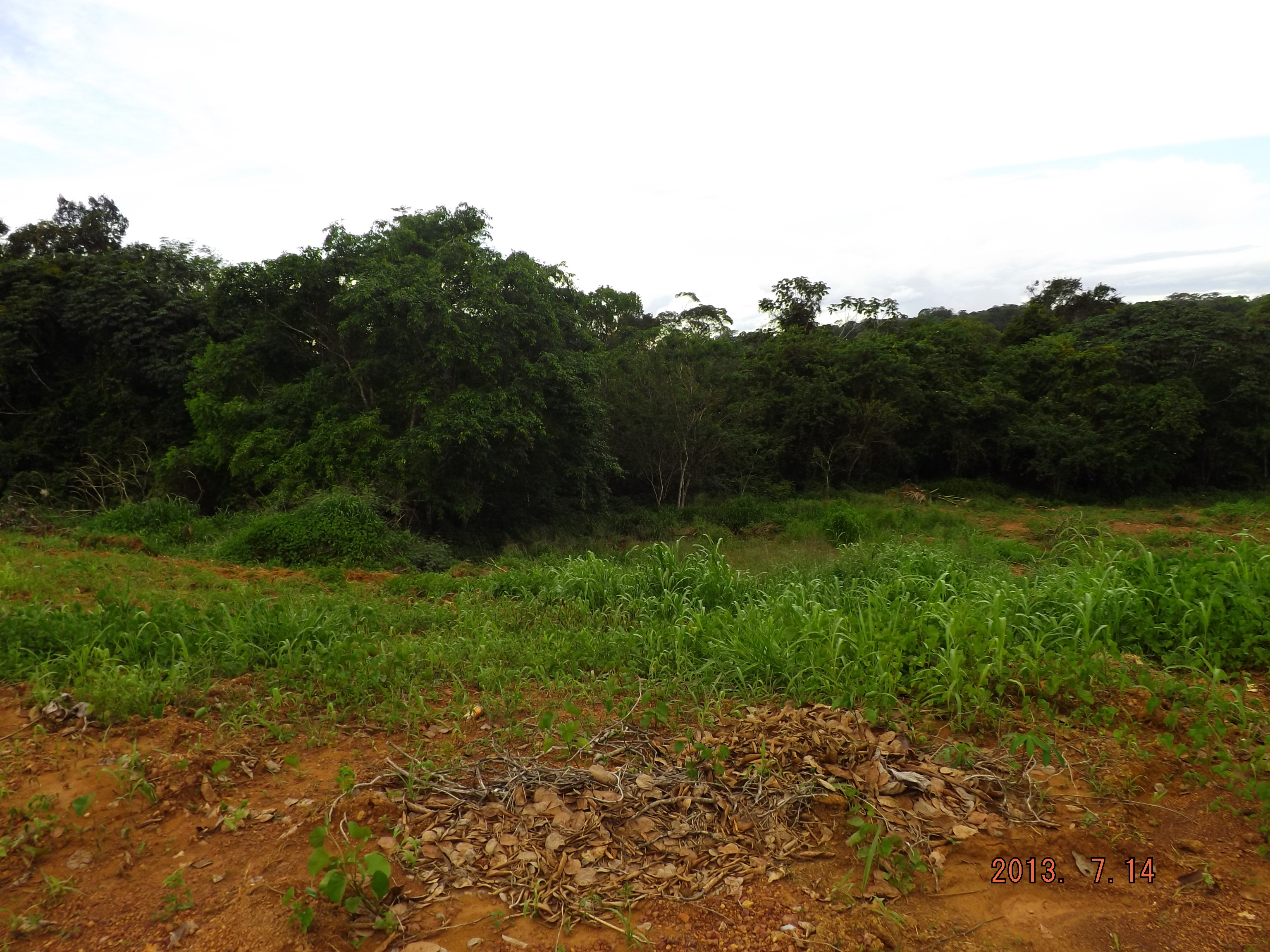 Área de mineração de terras raras em operação, com estrutura industrial e solo exposto