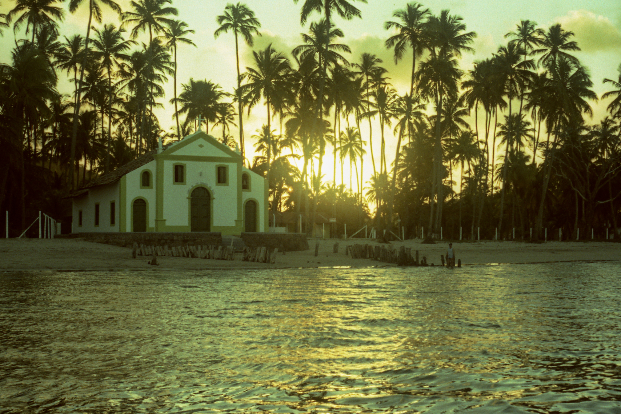 Coqueiros e mar calmo na Praia dos Carneiros, em Pernambuco