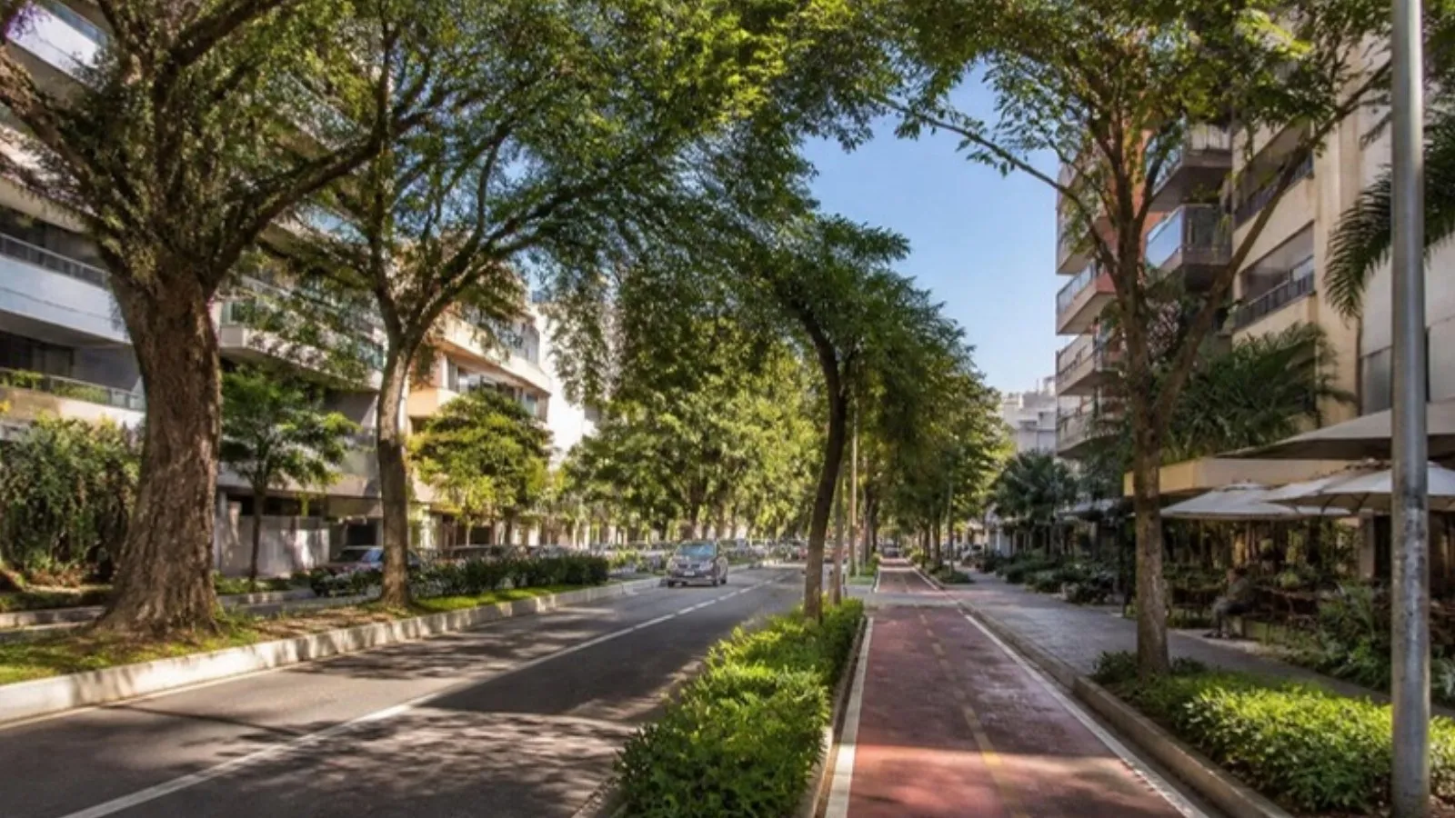 Rua arborizada com prédios residenciais na Zona Oeste de São Paulo (imagem ilustrativa)